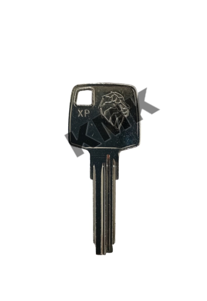 [PXP] PXP-LLAVE MULTIPUNTO ABUS CAND XP FLOOD